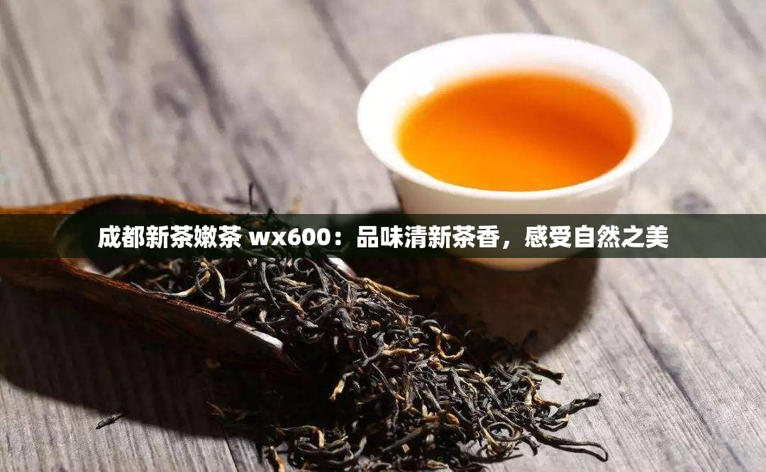 成都新茶嫩茶 wx600：品味清新茶香，感受自然之美