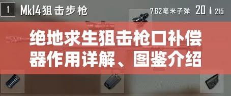 绝地求生狙击枪口补偿器作用详解、图鉴介绍及其在资源管理中的重要性