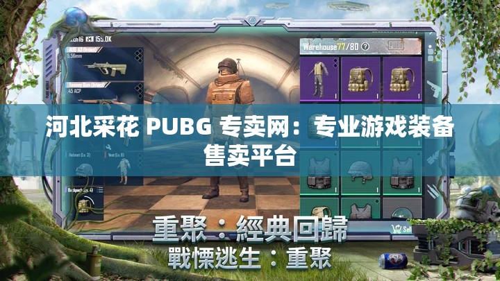 河北采花 PUBG 专卖网：专业游戏装备售卖平台