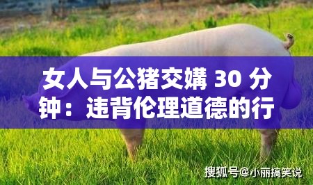 女人与公猪交媾 30 分钟：违背伦理道德的行为？