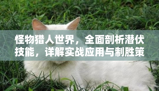 怪物猎人世界，全面剖析潜伏技能，详解实战应用与制胜策略