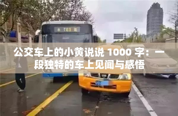 公交车上的小黄说说 1000 字：一段独特的车上见闻与感悟