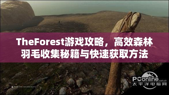 TheForest游戏攻略，高效森林羽毛收集秘籍与快速获取方法