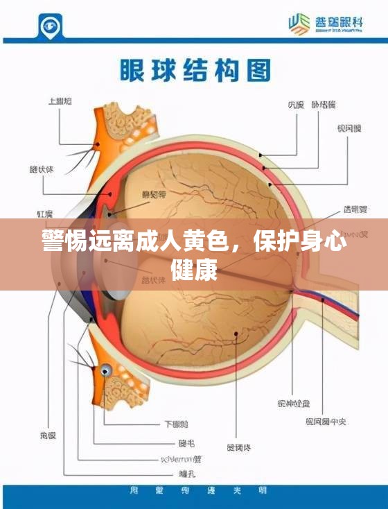 警惕远离成人黄色，保护身心健康