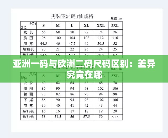 亚洲一码与欧洲二码尺码区别：差异究竟在哪