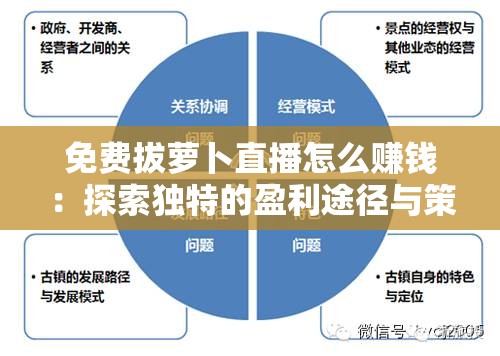 免费拔萝卜直播怎么赚钱：探索独特的盈利途径与策略