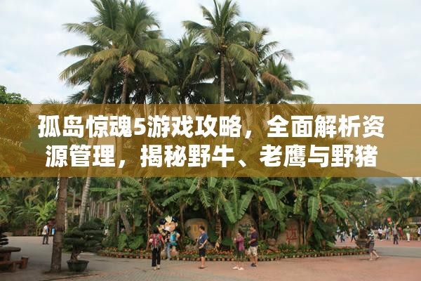 孤岛惊魂5游戏攻略，全面解析资源管理，揭秘野牛、老鹰与野猪位置