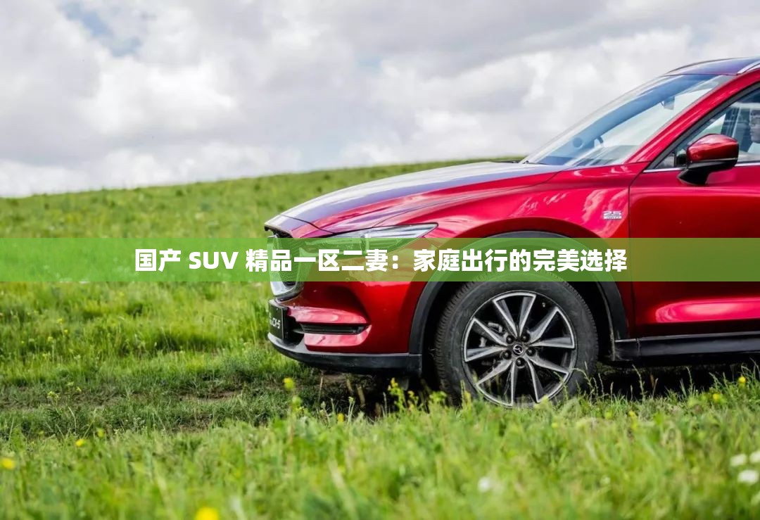 国产 SUV 精品一区二妻：家庭出行的完美选择