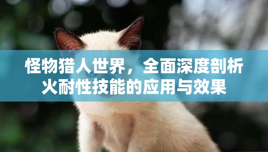 怪物猎人世界，全面深度剖析火耐性技能的应用与效果