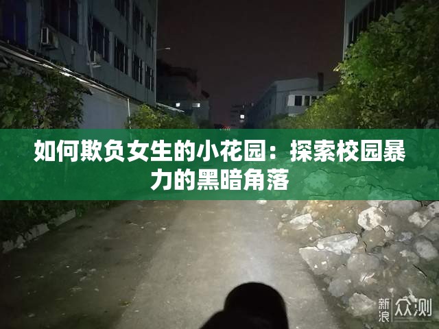 如何欺负女生的小花园：探索校园暴力的黑暗角落