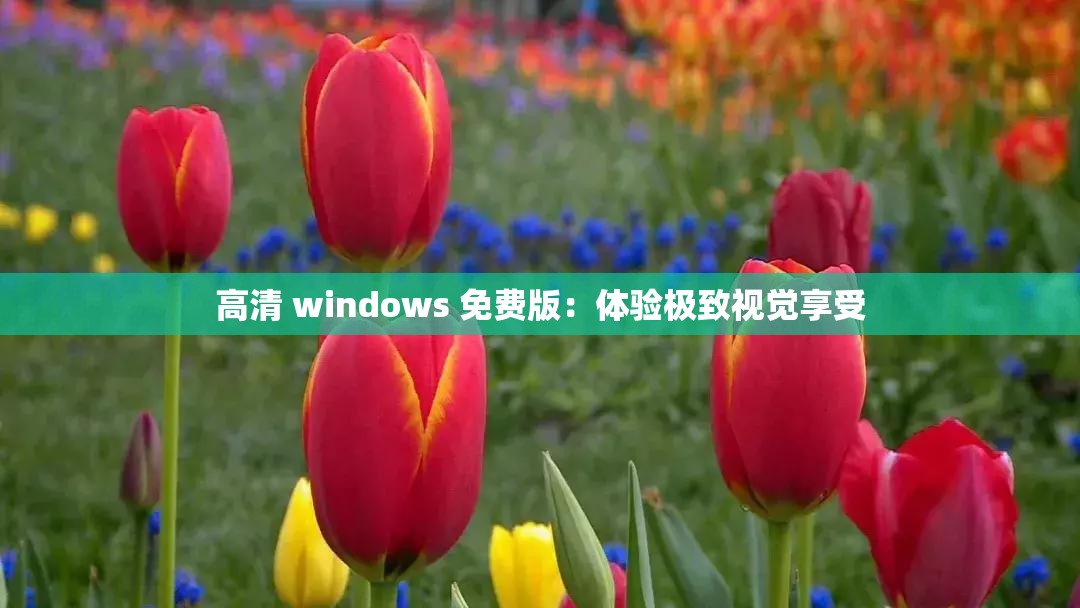 高清 windows 免费版：体验极致视觉享受