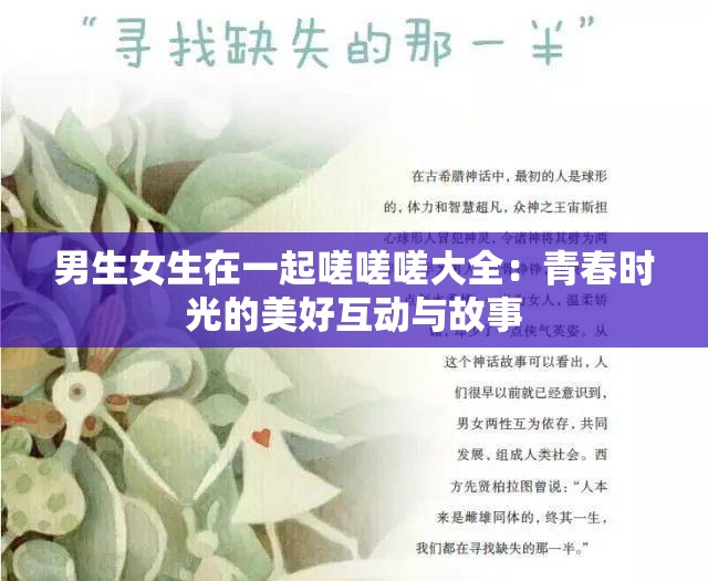 男生女生在一起嗟嗟嗟大全：青春时光的美好互动与故事