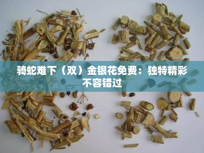 骑蛇难下（双）金银花免费：独特精彩不容错过