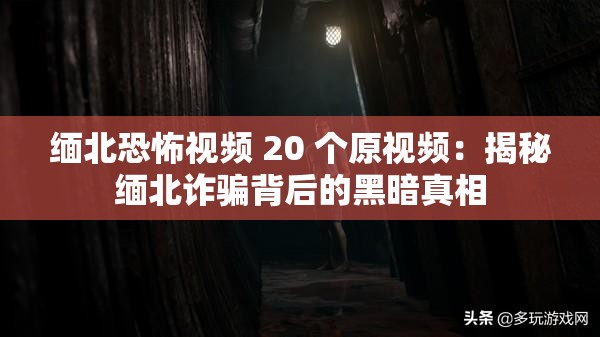 缅北恐怖视频 20 个原视频：揭秘缅北诈骗背后的黑暗真相