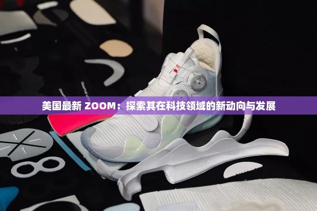 美国最新 ZOOM：探索其在科技领域的新动向与发展