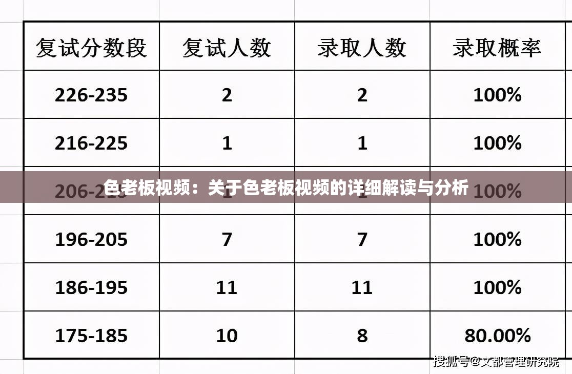 色老板视频：关于色老板视频的详细解读与分析