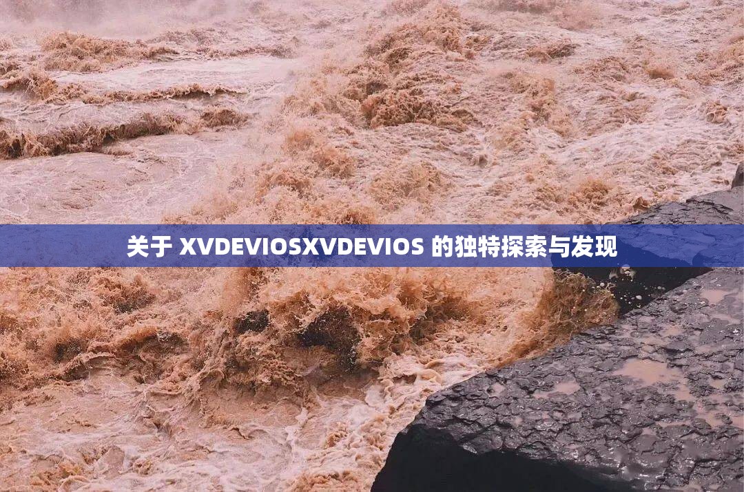 关于 XVDEVIOSXVDEVIOS 的独特探索与发现