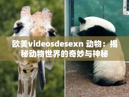 欧美videosdesexn 动物：揭秘动物世界的奇妙与神秘