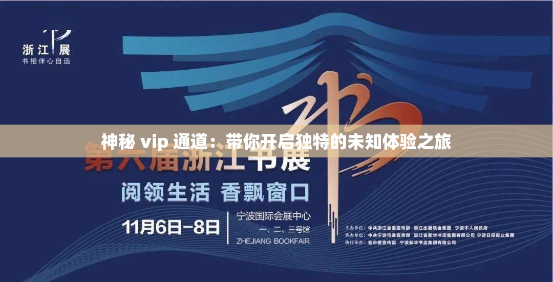 神秘 vip 通道：带你开启独特的未知体验之旅