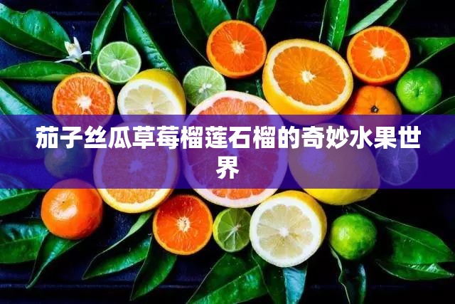 茄子丝瓜草莓榴莲石榴的奇妙水果世界