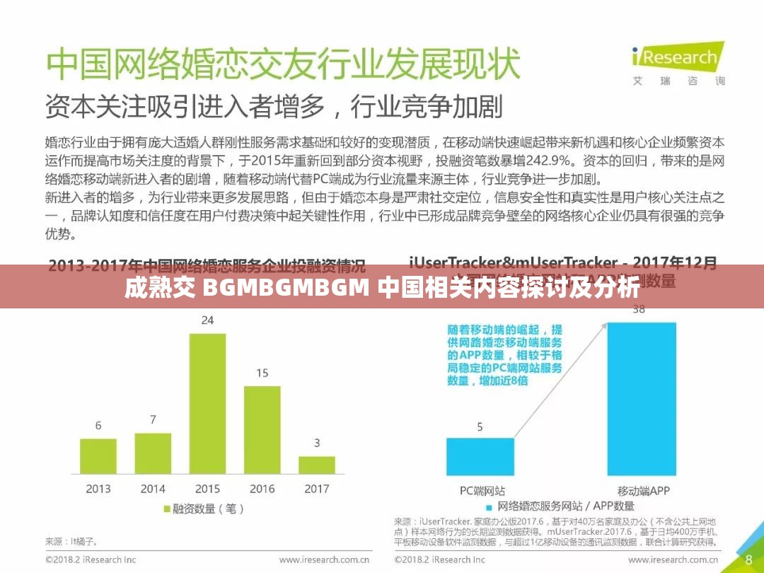 成熟交 BGMBGMBGM 中国相关内容探讨及分析