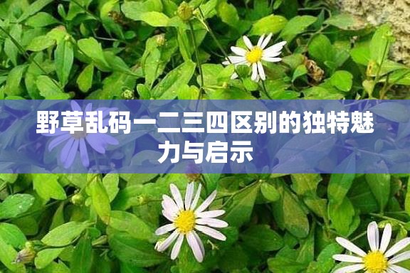 野草乱码一二三四区别的独特魅力与启示