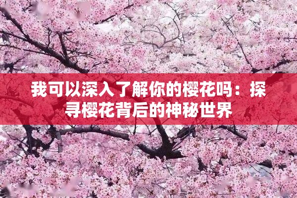 我可以深入了解你的樱花吗：探寻樱花背后的神秘世界