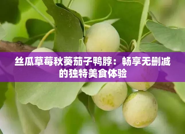 丝瓜草莓秋葵茄子鸭脖：畅享无删减的独特美食体验