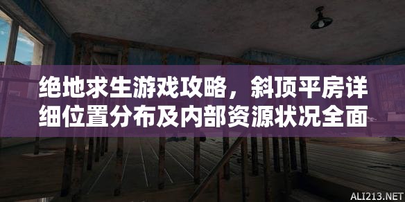 绝地求生游戏攻略，斜顶平房详细位置分布及内部资源状况全面介绍