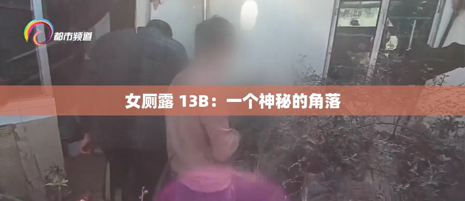 女厕露 13B：一个神秘的角落