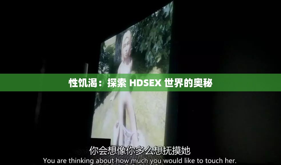 性饥渴：探索 HDSEX 世界的奥秘