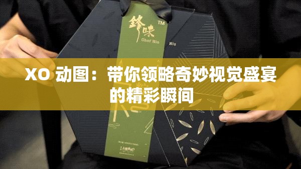 XO 动图：带你领略奇妙视觉盛宴的精彩瞬间