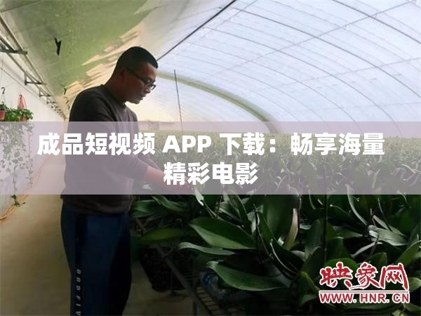 成品短视频 APP 下载：畅享海量精彩电影