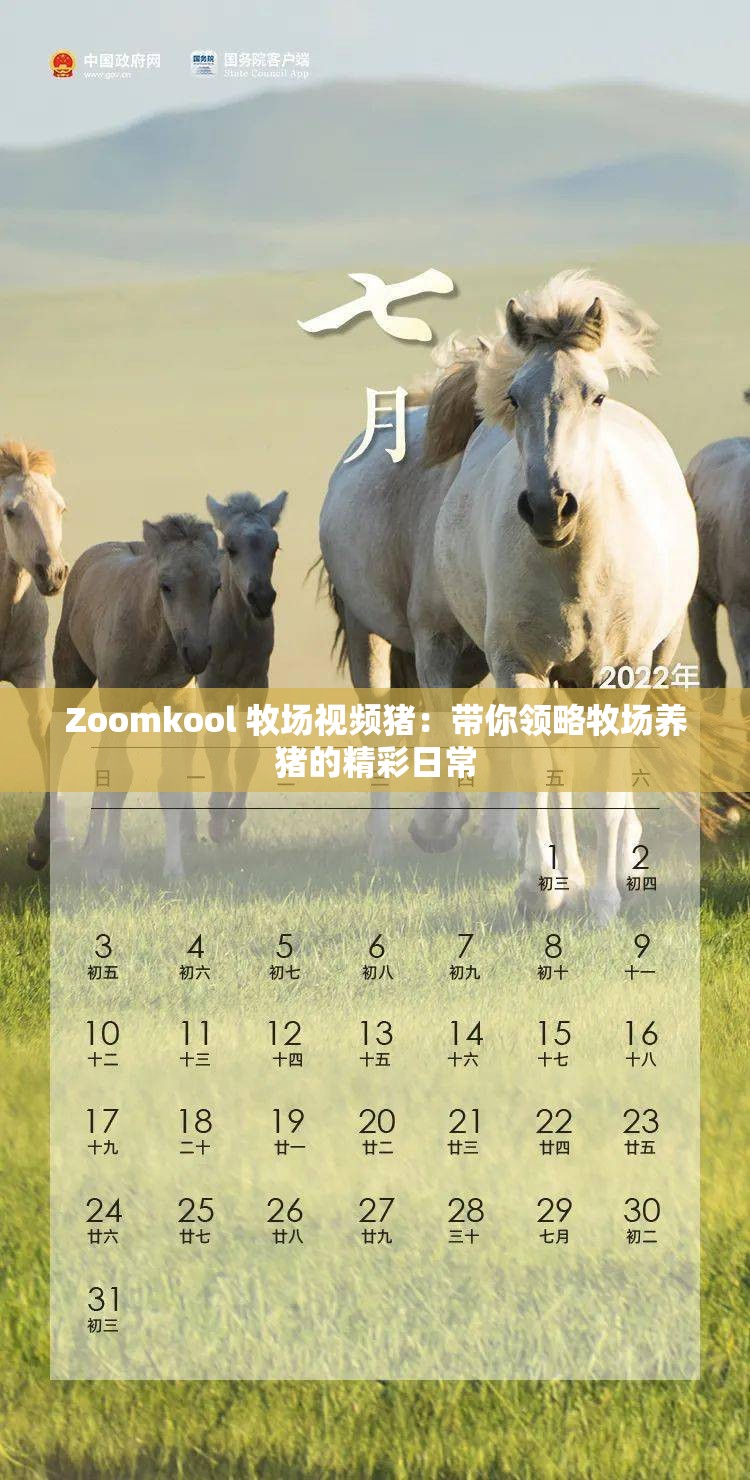 Zoomkool 牧场视频猪：带你领略牧场养猪的精彩日常