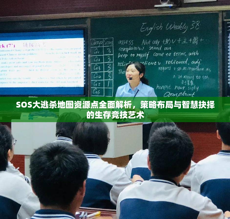 SOS大逃杀地图资源点全面解析，策略布局与智慧抉择的生存竞技艺术