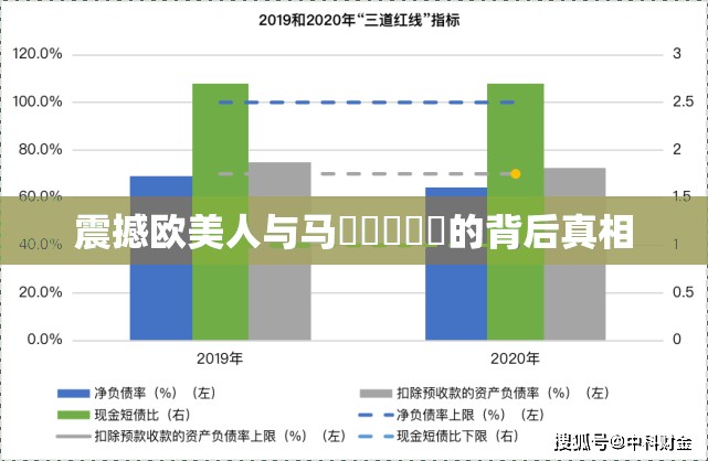 震撼欧美人与马乂乄乄乄乄的背后真相