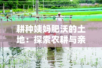 耕种姨妈肥沃的土地：探索农耕与亲情的交织之旅