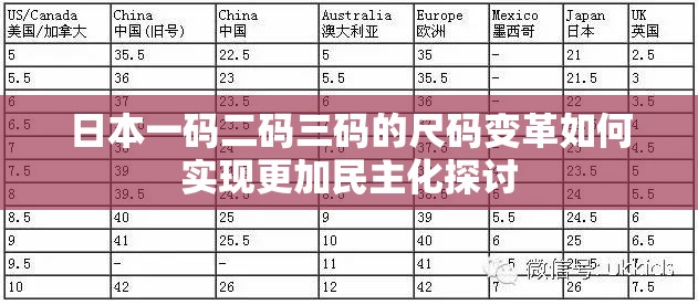 日本一码二码三码的尺码变革如何实现更加民主化探讨