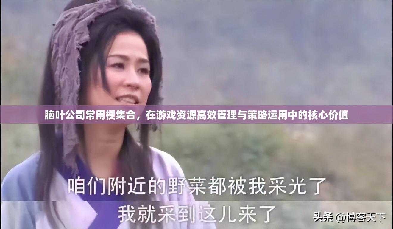 脑叶公司常用梗集合，在游戏资源高效管理与策略运用中的核心价值