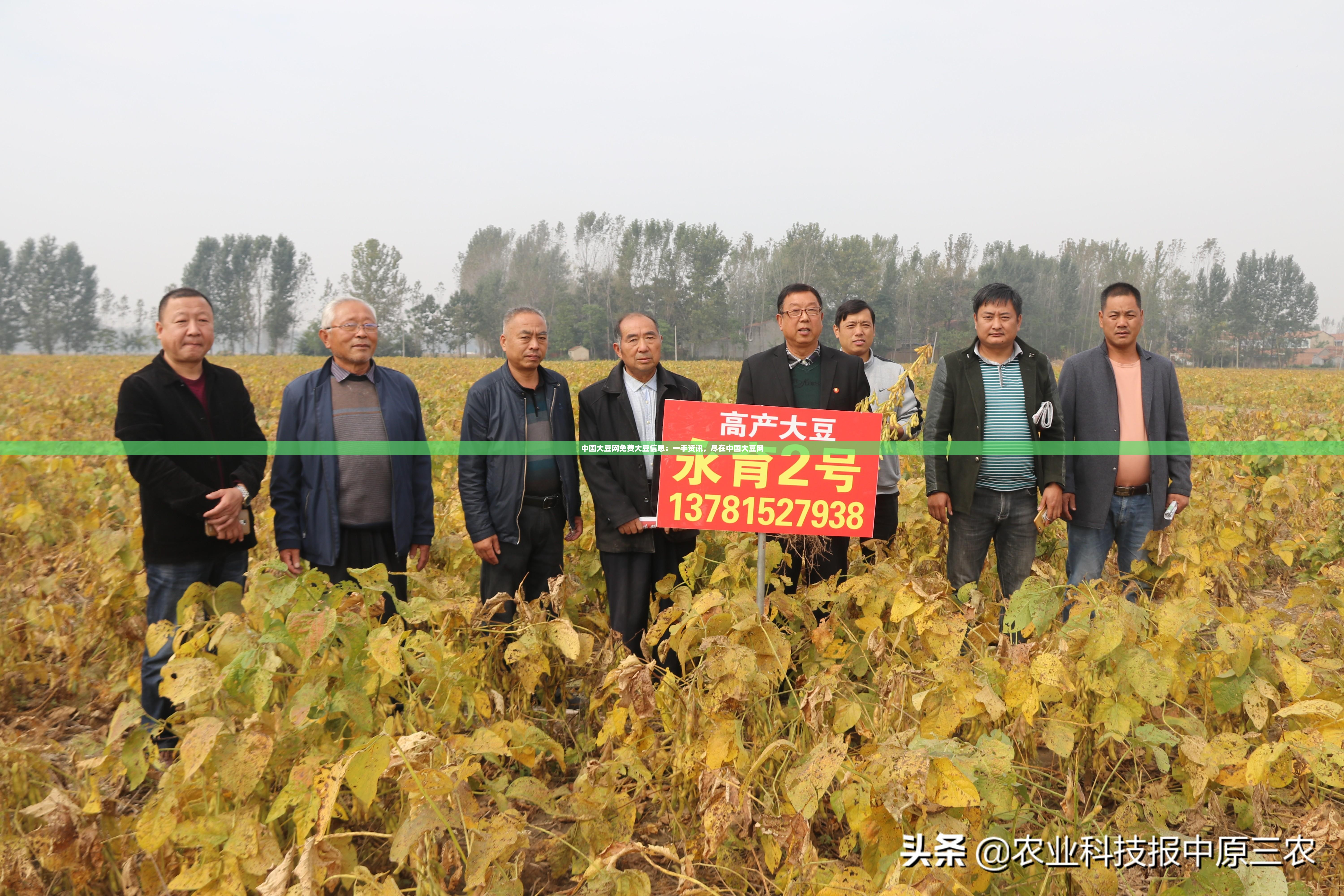 中国大豆网免费大豆信息：一手资讯，尽在中国大豆网