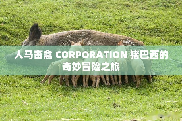 人马畜禽 CORPORATION 猪巴西的奇妙冒险之旅