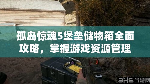 孤岛惊魂5堡垒储物箱全面攻略，掌握游戏资源管理核心技巧的关键步骤