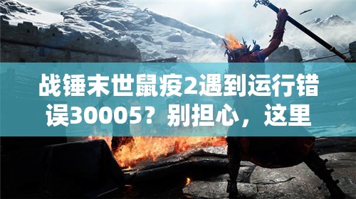 战锤末世鼠疫2遇到运行错误30005？别担心，这里有专业解决方案助你摆脱困扰！