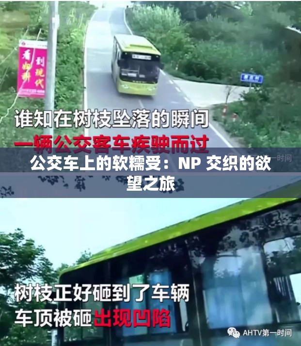 公交车上的软糯受：NP 交织的欲望之旅