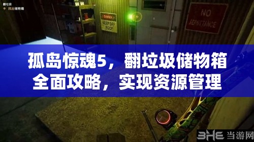 孤岛惊魂5，翻垃圾储物箱全面攻略，实现资源管理与高效利用技巧