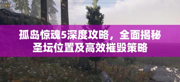 孤岛惊魂5深度攻略，全面揭秘圣坛位置及高效摧毁策略