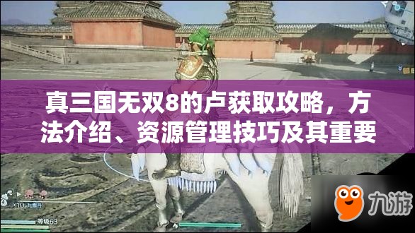 真三国无双8的卢获取攻略，方法介绍、资源管理技巧及其重要性