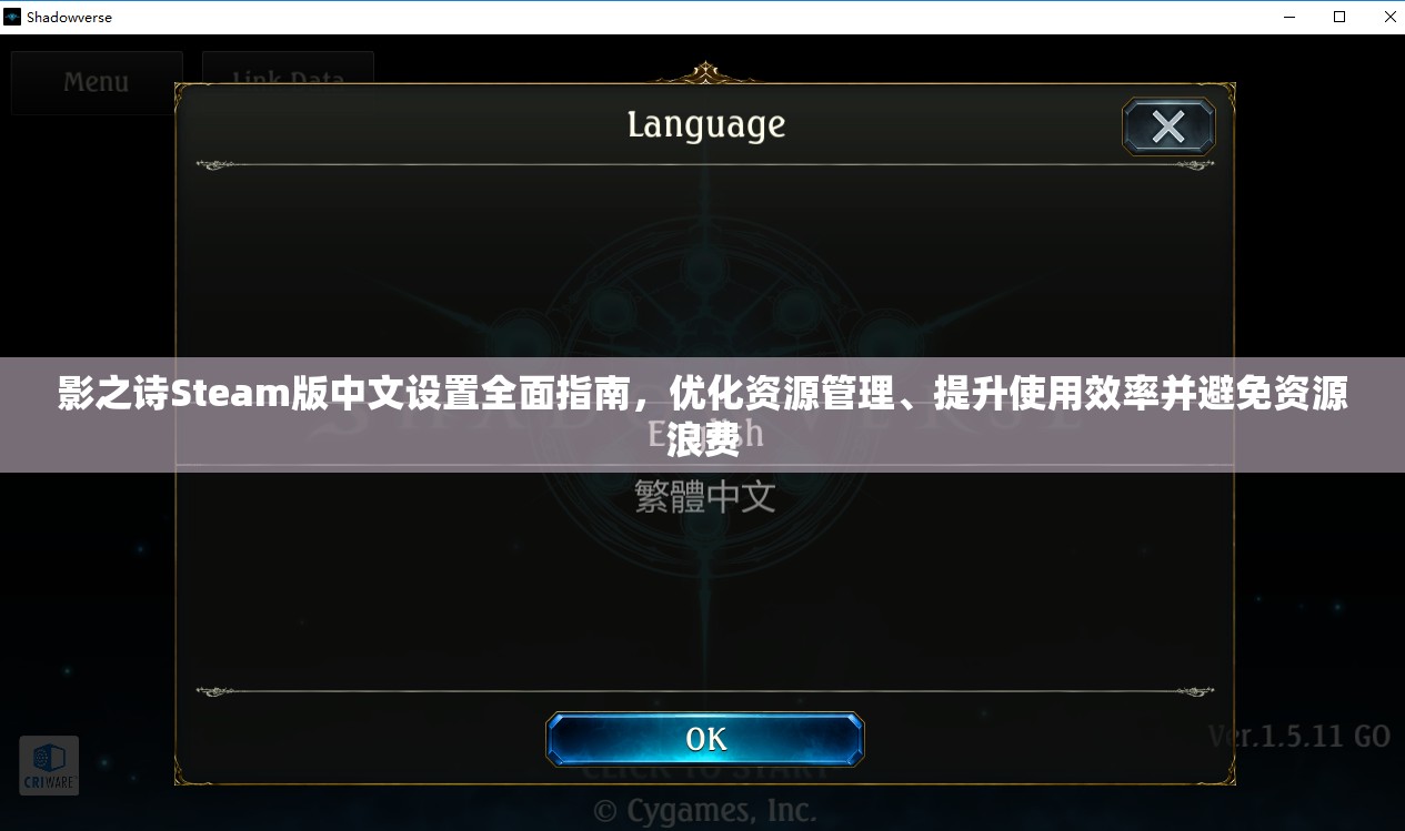 影之诗Steam版中文设置全面指南，优化资源管理、提升使用效率并避免资源浪费
