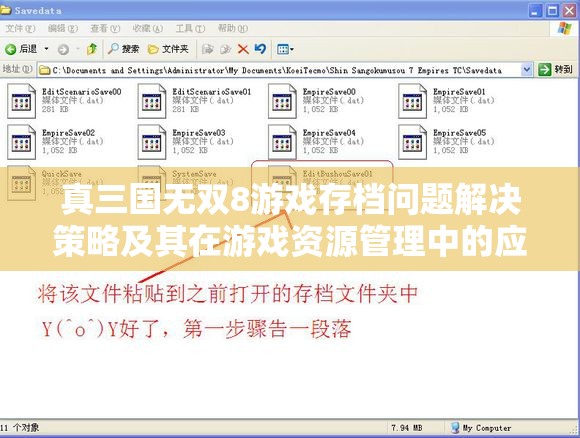 真三国无双8游戏存档问题解决策略及其在游戏资源管理中的应用价值