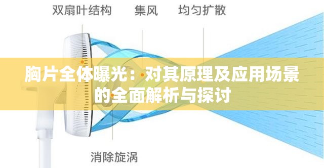 胸片全体曝光：对其原理及应用场景的全面解析与探讨